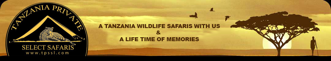 Tanzania Serengeti Select Safaris